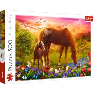 Puzzle - 500 - Konie na łące - Trefl 37451