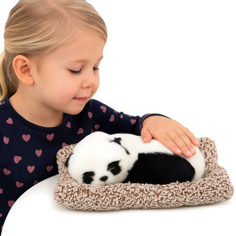 Śpiąca Panda Na Poduszce Figurka z Futerkiem Przeźroczysta Torba