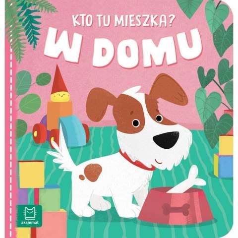 Kto tu mieszka w domu AKSJOMAT