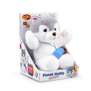 PIESEK HUSKY DUMEL DISCOVERY