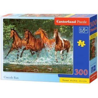 Puzzle cascade run 300 CASTOR