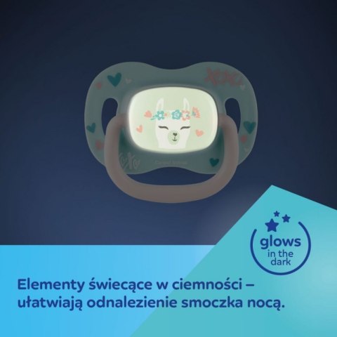 Smoczek gr. sil.sym 18m+ panda