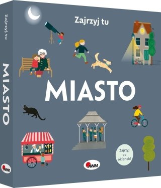 ZAJRZYJ TU MIASTO