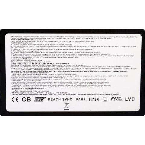 Lampki choinkowe 100 LED FLASH, wewnętrzne, zimny biały