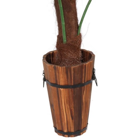 Zielone drzewo