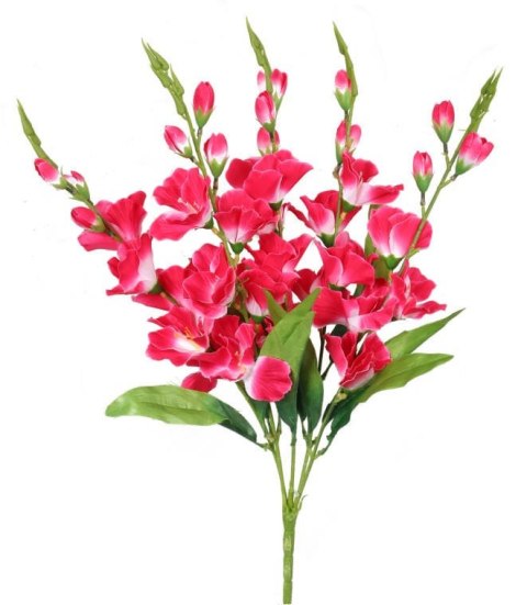 Bukiet 5 Różowo-Białych Gladioli o Wysokości 60 cm