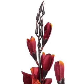 Bukiet 5 gladioli borodowo żółtych