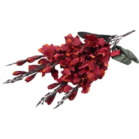 Bukiet 5 gladioli borodowo żółtych