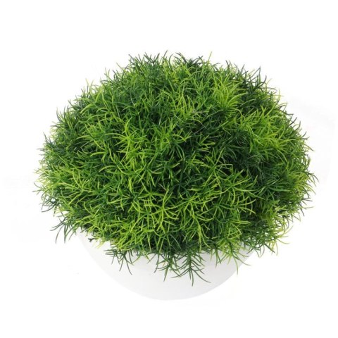 Trawa-kula w białej donicy 25 cm