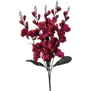 Bukiet 5 gladioli bordowych