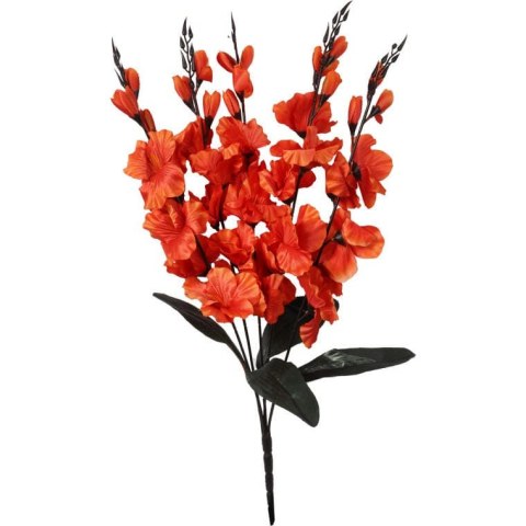 Bukiet 5 gladioli pomarańczowych