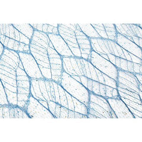 ORGANZA GRANATOWA Z NADRUKIEM BROKATOWYM 0,50 x 10 m