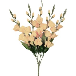 Bukiet 5 kremowych gladioli