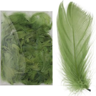 Piórka zielone w boksie PVC