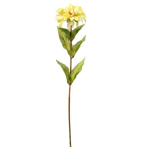 Żółta Cynia Dekoracyjna 75 cm