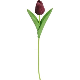 TULIPAN GUMOWANY POJEDYNKA KOLOR FIOLETOWY