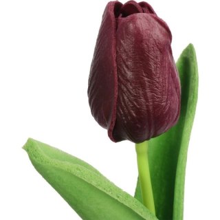 TULIPAN GUMOWANY POJEDYNKA KOLOR FIOLETOWY