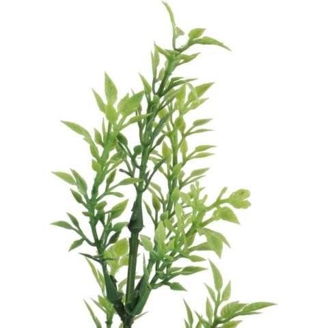 TYMIANEK GAŁĄZKA ZIEOLNA 57 CM