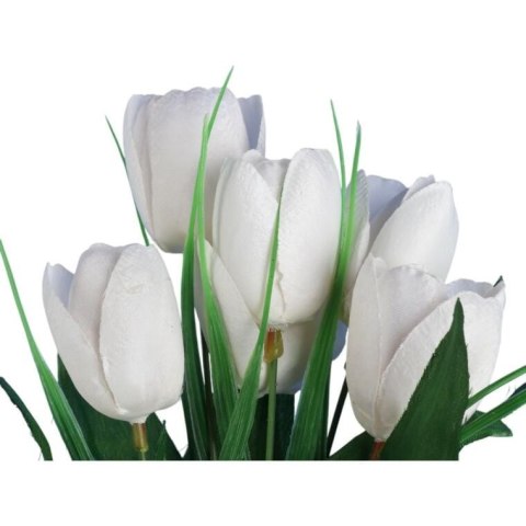Bukiet 6 TULIPANÓW z trawką 34 cm BIAŁY