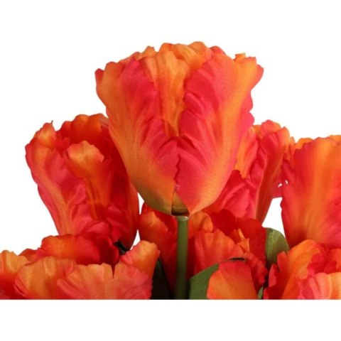 Bukiet 7 TULIPANÓW PAPUZICH 54 cm POMARAŃCZOWY