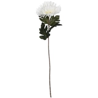 CHRYZANTEMA 76 CM BIAŁA