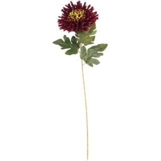 CHRYZANTEMA 76 CM BORDOWA