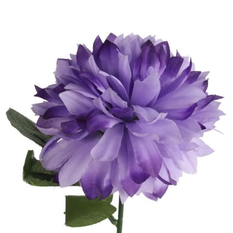 Chryzantema pojedynka w kolorze ciemno fioletowym 67 cm