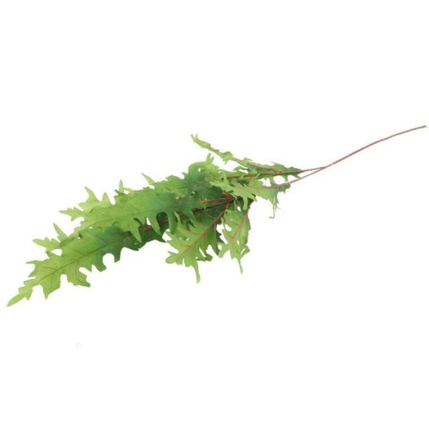 GAŁĄZKA LIŚCI DĘBU BŁOTNEGO 100 CM ZIELONA
