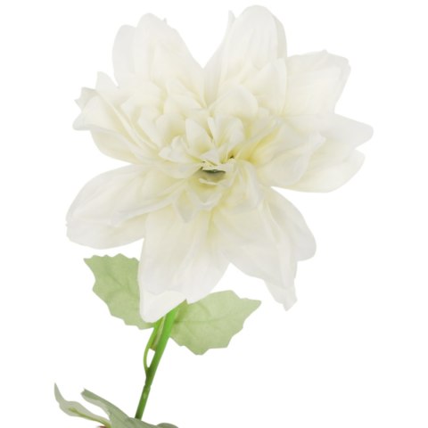 Dalia kwiat pojedynczy biały 70 cm
