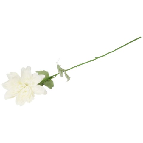Dalia kwiat pojedynczy biały 70 cm