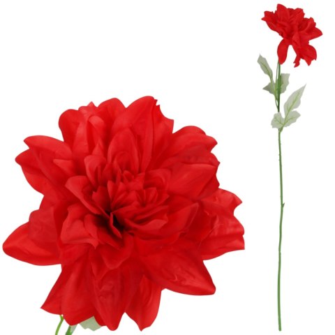 Dalia kwiat pojedynczy czerwony 70 cm