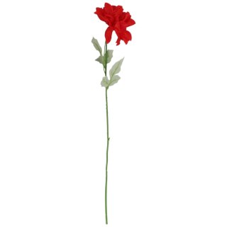 Dalia kwiat pojedynczy czerwony 70 cm