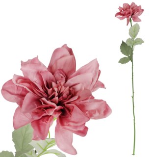 Dalia kwiat pojedynczy różowy 70 cm