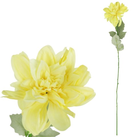 Dalia kwiat pojedynczy żółty 70 cm
