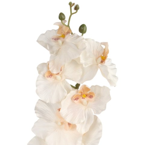 STORCZYK ORCHIDEA GAŁĄZKA 9 KWIATÓW 105 CM GŁĘBOKA CZERWIEŃ