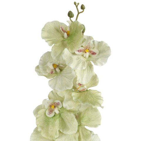 STORCZYK ORCHIDEA GAŁĄZKA 9 KWIATÓW 105 CM PASTELOWA LIMONKA