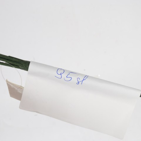 BUKIET 7 RÓŻ Z BUKSZPANEM żółty 52 cm