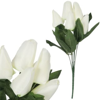 BUKIET 7 TULIPANÓW biały 34 cm