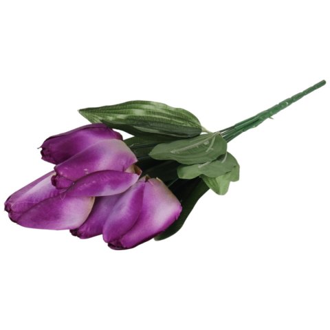 BUKIET 7 TULIPANÓW fioletowy 34 cm
