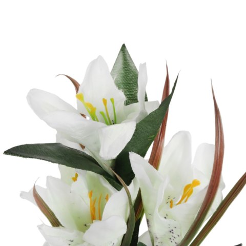 BUKIET 9 LILII kremowy 57 cm