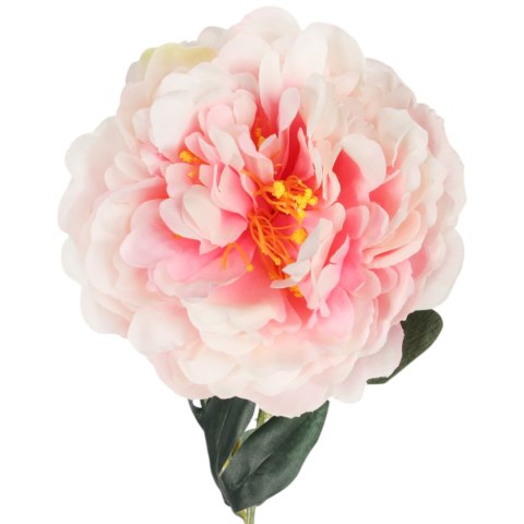 PIWONIA KWIAT SZTUCZNY do wazonu rózowa PEONIA 72 cm