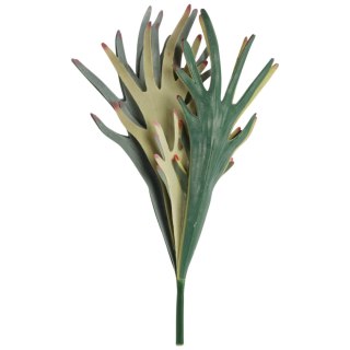 BUKIET PAPROCI ŁOSIE ROGI (STAGHORN FERN) 48 CM