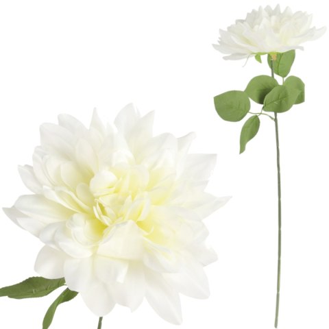 DALIA biała 60 cm fi 17