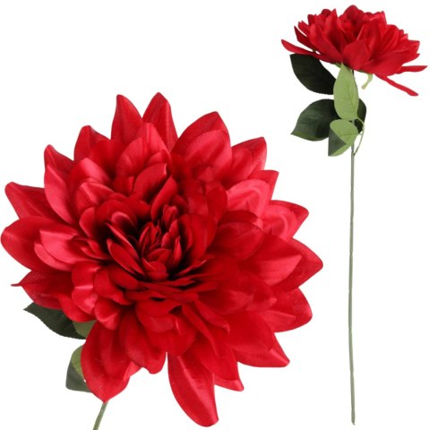 DALIA czerwona 60 cm fi 17