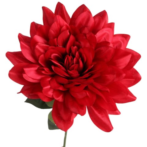 DALIA czerwona 60 cm fi 17