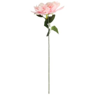 DALIA jasno-różowa 60 cm fi 17