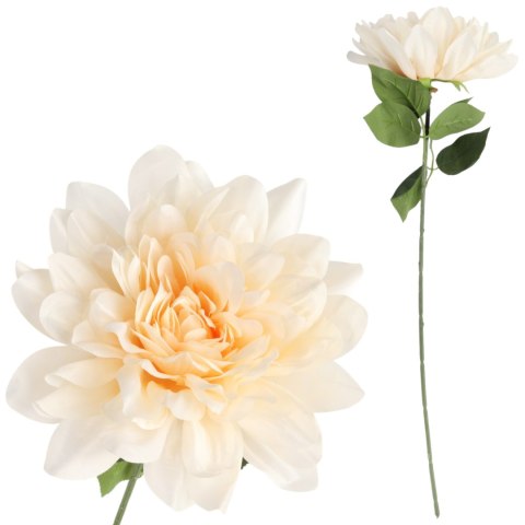 DALIA kremowa 60 cm fi 17