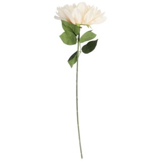 DALIA kremowa 60 cm fi 17