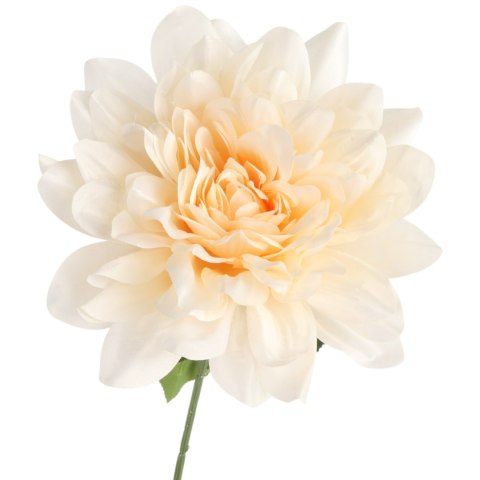 DALIA kremowa 60 cm fi 17