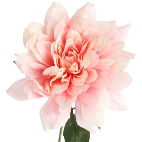 DALIA kremowa 60 cm fi 17